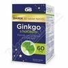 GS Ginkgo 60mg s hořčíkem tbl.90+30 dárek 2023 porovnat ceny