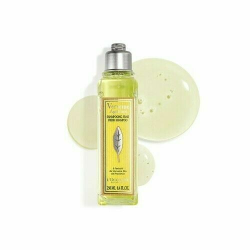 LOCCITANE Osvěžující šampon Verbena Citrus 250ml porovnat ceny