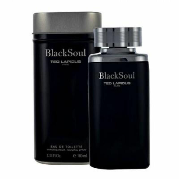 Ted Lapidus Black Soul Toaletní voda 100ml porovnat ceny