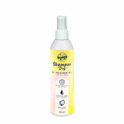 Bellfor Shampoo Dry 250ml porovnat ceny