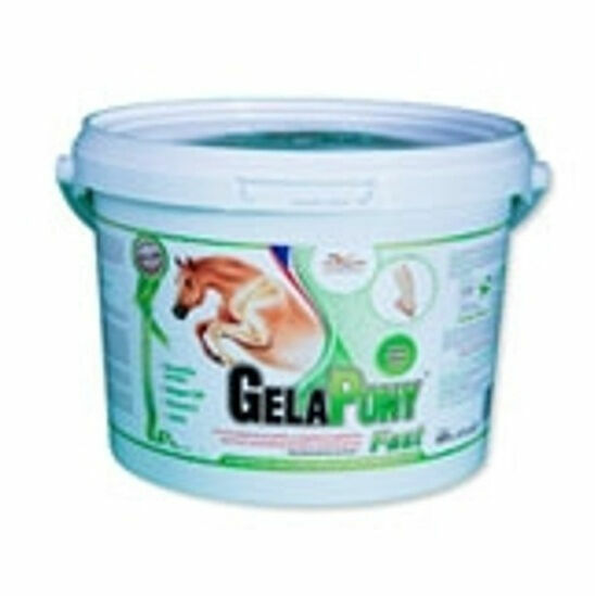 GELAPONY Fast 600 g a.u.v. porovnat ceny