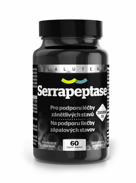 Serrapeptase 250 000 I.U. 60 kapslí porovnat ceny
