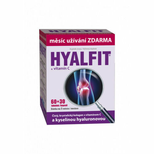 Hyalfit tob.60 porovnat ceny