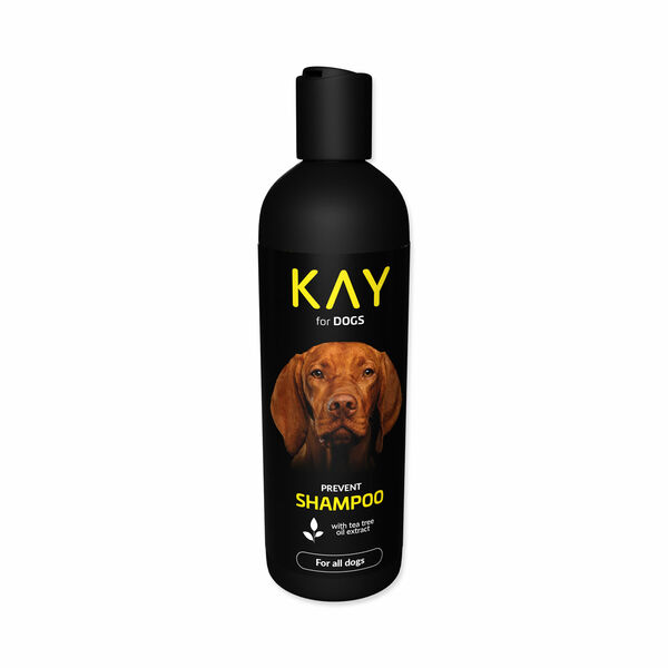 KAY Šampon s tea tree olejem 250 ml porovnat ceny