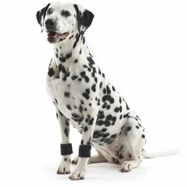 KRUUSE Rehab zátěžové manžety pro psa 1 pár, Velikost: XS porovnat ceny