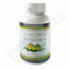 Garcinia Slim Biomedica tob.90+10 porovnat ceny