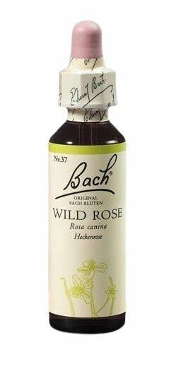 Dr. Bach  Bach® Wild Rose 20ml porovnat ceny