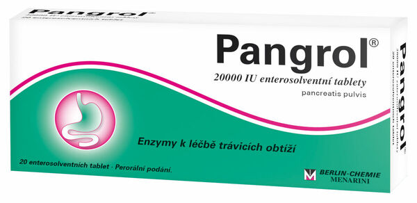 Pangrol 20000 Enterosolventní tablety 20 ks porovnat ceny