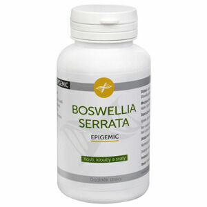 Epigemic Boswellia Serrata 90 kapslí porovnat ceny