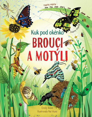 Svojtka Kuk pod okénko - Brouci a motýli porovnat ceny