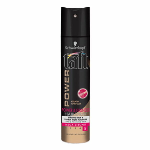 TAFT Lak na vlasy Power&Fullness megasilně tužící 250 ml porovnat ceny