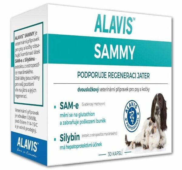 ALAVIS SAMMY 30 kapslí porovnat ceny