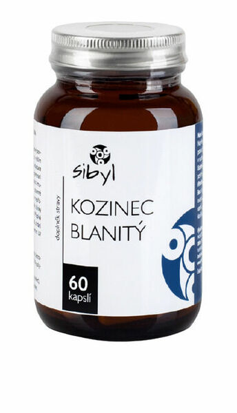 Sibyl Kozinec blanitý 60cps porovnat ceny