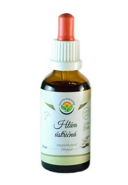 Salvia Paradise Hlíva ústřičná AF tinktura 50ml porovnat ceny