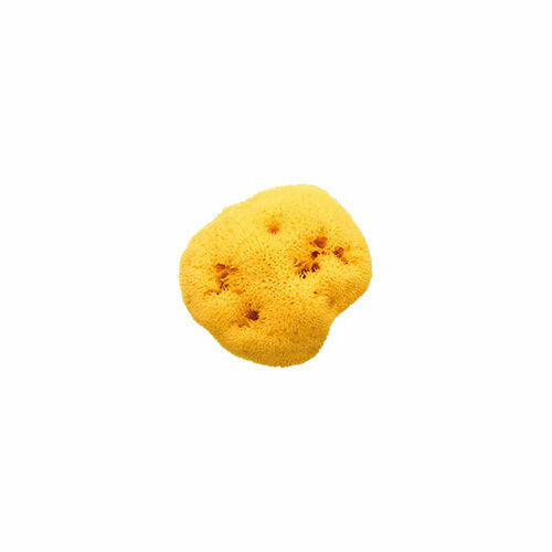OK Baby Mořská houba na mytí Honeycomb 14 porovnat ceny