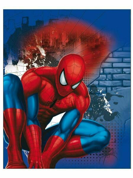Kaufmann  Dětská oboustranná auto deka Spiderman 120x150 cm porovnat ceny