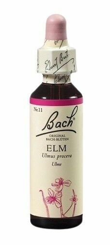 Dr. Bach  Bach® Elm 20ml porovnat ceny