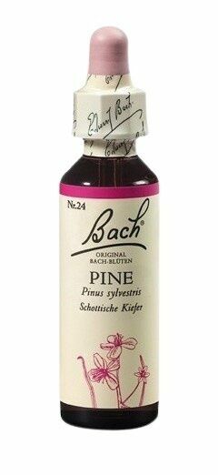 Dr. Bach  Bach® Pine 20ml porovnat ceny