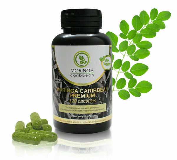 Moringa Caribbean Premium 120cps. porovnat ceny