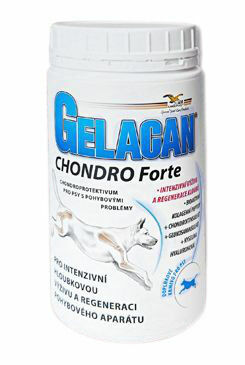 Orling  Gelacan Chondro Forte 500g porovnat ceny