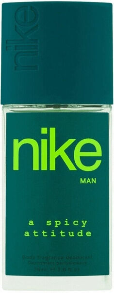 Nike Spicy attitude Man DNS 75ml porovnat ceny