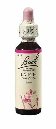 Dr. Bach  Bach® Larch 20ml porovnat ceny