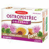 TEREZIA Ostropestřec+Reishi Forte cps.60 porovnat ceny