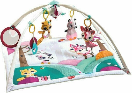 Tiny Love  Hrací deka s hrazdou Gymini Tiny Princess Tales porovnat ceny