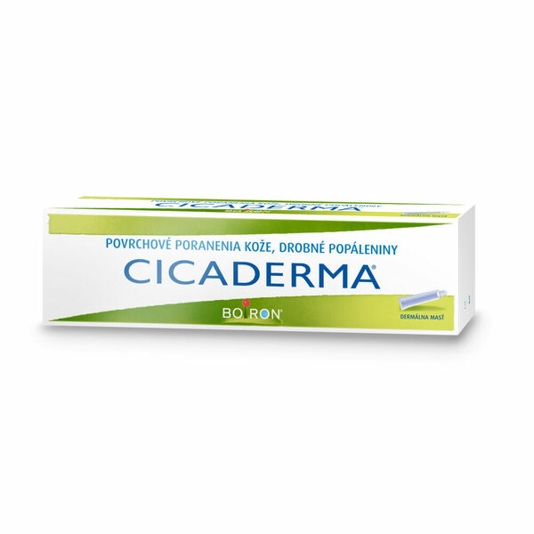 BOIRON Cicaderma mast 30 g porovnat ceny