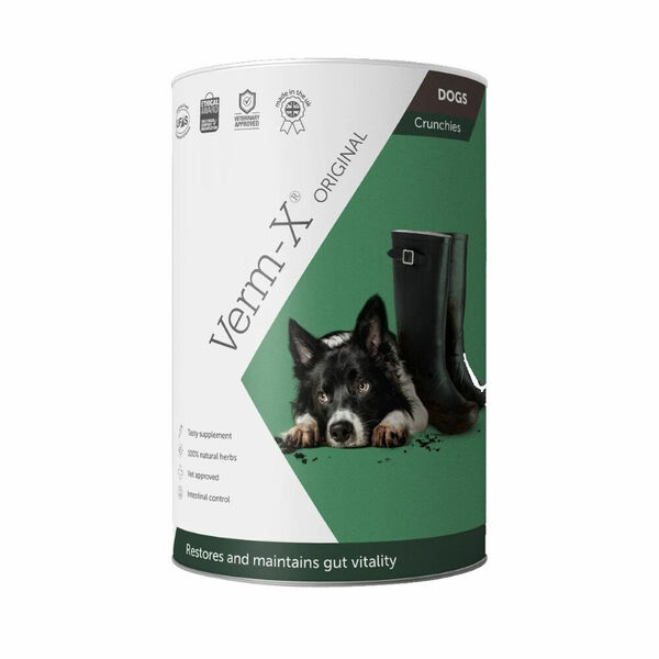 VERM-X Přírodní granule proti střevním parazitům pro psy 100 g porovnat ceny