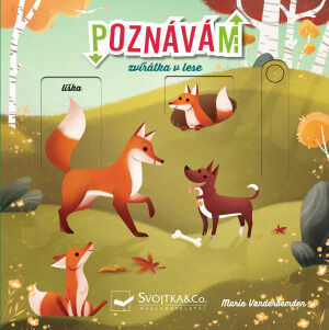 Svojtka Poznávám zvířátka v lese porovnat ceny