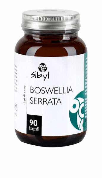 Sibyl Boswellia serrata 90cps porovnat ceny