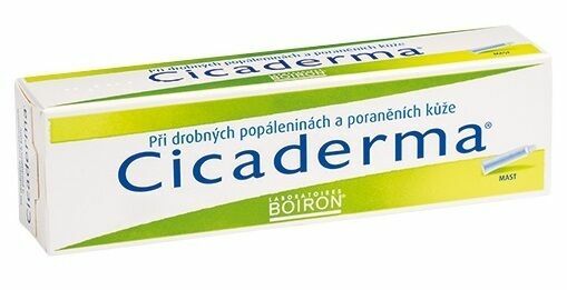Boiron  Cicaderma mast 30g porovnat ceny