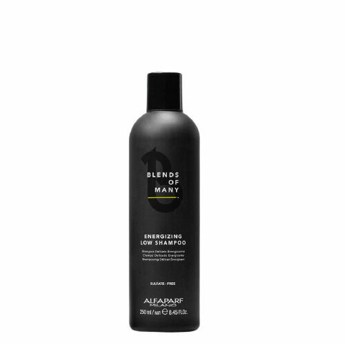 Alfaparf Milano Blends of Many Jemný posilňující šampon proti vypadávání vlasů 250ml porovnat ceny