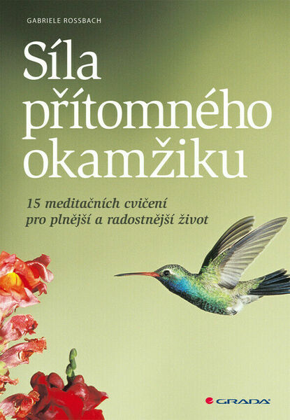 Grada Síla přítomného okamžiku 1ks porovnat ceny