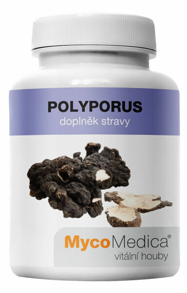 MycoMedica Polyporus 90 veganských kapslí porovnat ceny