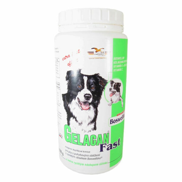 GELACAN Fast 500 g a.u.v. porovnat ceny