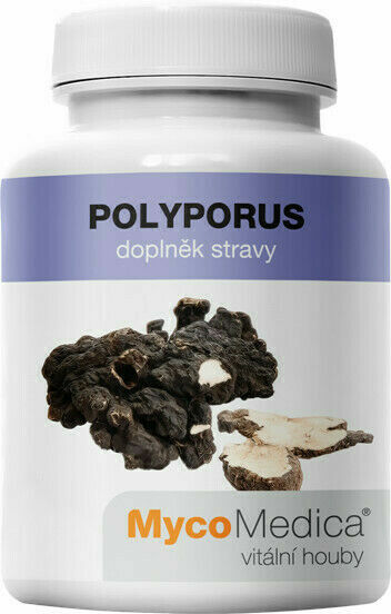 MycoMedica Polyporus 90 kapslí porovnat ceny