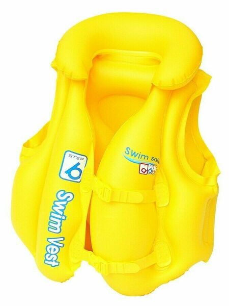 Dětská nafukovací vesta Bestway Typ B 51x46 cm porovnat ceny