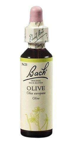 Dr. Bach  Bach® Olive 20ml porovnat ceny