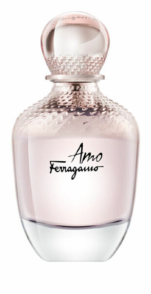 Salvatore Ferragamo Amo Ferragamo EdP 100ml porovnat ceny