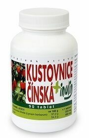 Naturvita Kustovnice čínská + Inulín 90 tablet porovnat ceny