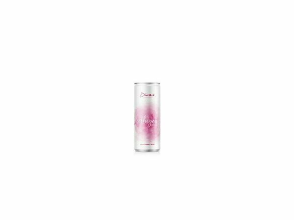 Diva's funkční nápoj Kolagen 250ml porovnat ceny