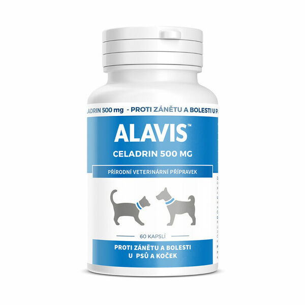 ALAVIS Celadrin 500mg 60 tablet porovnat ceny
