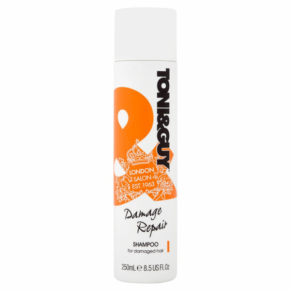 TONI&GUY Damage Repair Šampon pro poškozené vlasy 250 ml porovnání ceny