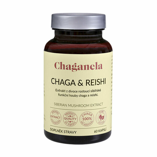 Chaganela Extrakt čagy s reishi 60 kapslí porovnat ceny