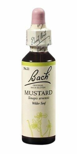 Dr. Bach  Bach® Mustard 20ml porovnat ceny