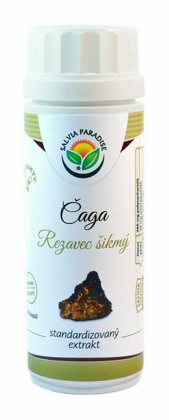 Salvia Paradise Čaga - chaga - rezavec šikmý extrakt 100 kapslí porovnat ceny