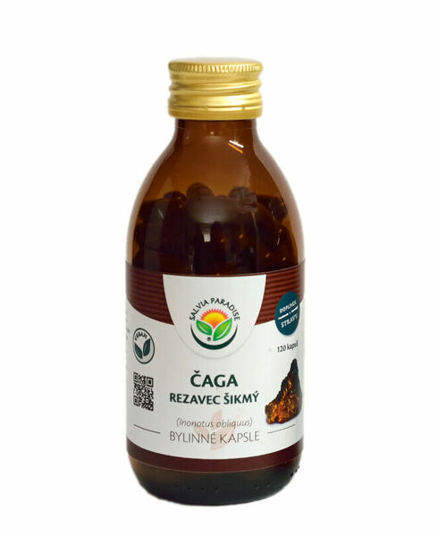 Salvia Paradise Čaga - chaga - rezavec šikmý 120 kapslí porovnat ceny