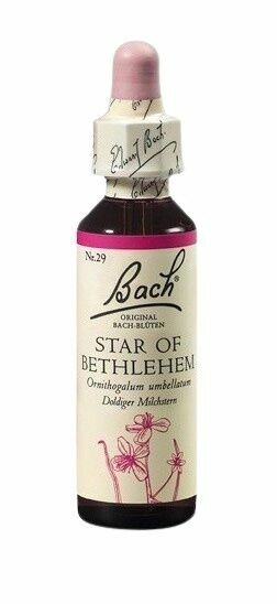 Dr. Bach  Bach® Star of Bethlehem 20ml porovnat ceny